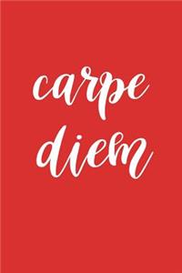 2019 Daily Planner Motivational Carpe Diem 384 Pages
