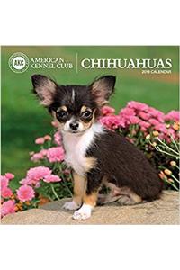 American Kennel Club Chihuahuas 2018 Wall Calendar