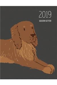 2019 Golden Setter