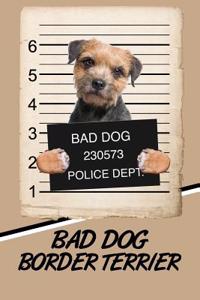 Bad Dog Border Terrier
