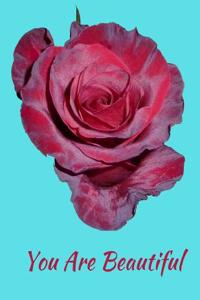 You Are Beautiful Red Rose Notebook Journal 120 College Ruled Pages 8.5 X 11