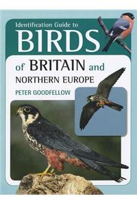 Identification Guide to Birds of Britain & Northern Europe