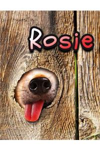 Rosie: Personalized Discreet Internet Website Password Organizer, Large Print Book, 8 1/2