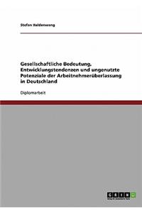 Zeitarbeit in Deutschland. Gesellschaftliche Bedeutung, Entwicklungstendenzen Und Ungenutzte Potenziale