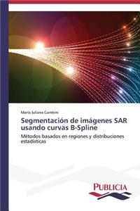 Segmentación de imágenes SAR usando curvas B-Spline