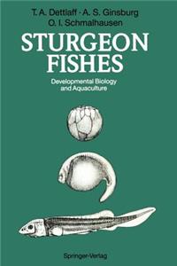 Sturgeon Fishes