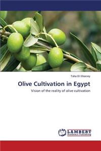 Olive Cultivation in Egypt