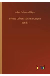 Meine Lebens-Erinnerungen