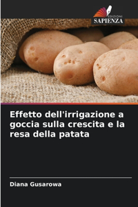 Effetto dell'irrigazione a goccia sulla crescita e la resa della patata