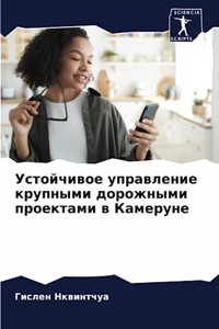 Устойчивое управление крупными дорожным&