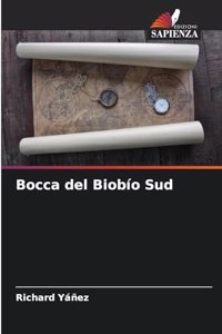 Bocca del Biobío Sud