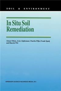 In Situ Soil Remediation