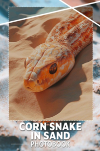 Corn Snake In Sand Photo Book