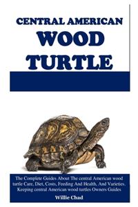 Central American Wood Turtle