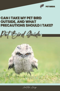 Can I take my pet bird outside, and what precautions should I take?