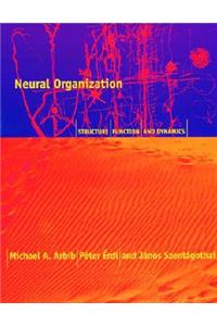 Neural Organization