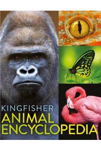 Kingfisher Animal Encyclopedia