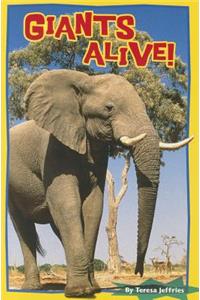 Giants Alive!, Single Copy, Very First Chapters