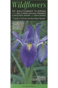 Wildflowers of Southwest Florida Including Big Cypress NP, Corkscrew Swamp & Crew Marsh
