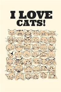 I Love Cats!