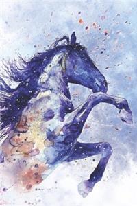 Best Diary For 9 Year Old Boy