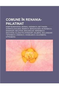 Comune in Renania-Palatinat: Kamp-Bornhofen, Dernau, Adenbach, Bettingen, Dornholzhausen, Biebrich, Berghausen, Bickenbach, Binningen
