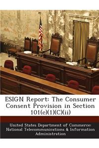 Esign Report
