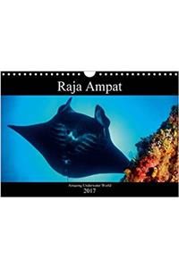 Raja Ampat - Amazing Underwater World 2017