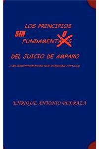 PRINCIPIOS SIN FUNDAMENTO DEL JUICIO DE AMPARO. (Las jurisprudencias que deniegan justicia)