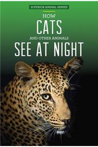 How Cats and Other Animals See at Night