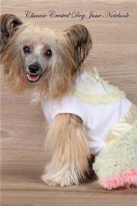 Chinese Crested Dog June Notebook Chinese Crested Dog Record, Log, Diary, Special Memories, To Do List, Academic Notepad, Scrapbook & More
