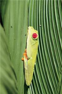 Red-Eyed Tree Frog Journal