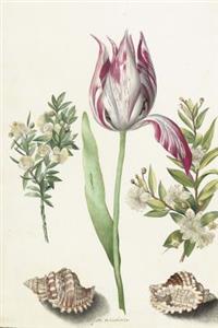 Tulip, Two Myrtle Branches, and Two Shells Art Journal