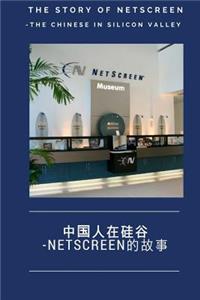 The Story of NetScreen