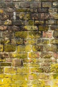 Brick Wall Covered in Algae Journal