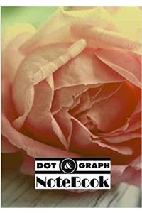 Notebook Dot-Grid, Graph