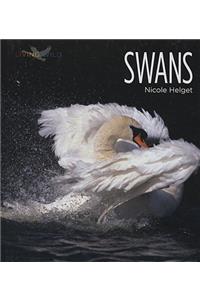 Swans