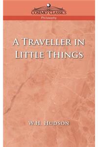 Traveller in Little Things