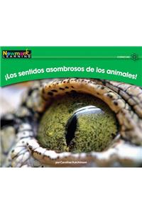 Ilos Sentidos Asombrosos de Los Animales! Leveled Text