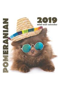 Pomeranian 2019 Mini Wall Calendar