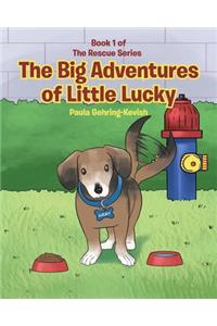Big Adventures of Little Lucky