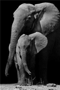 Save The Elephant 2020 Weekly Monthly Planner