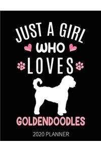 Just A Girl Who Loves Goldendoodles 2020 Planner