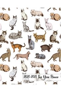 2020-2021 Two Year Planner