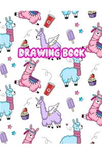 Drawing Book