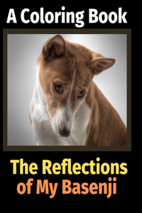 Reflections of My Basenji