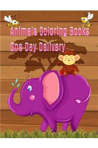 Animals Coloring Books One Day Delivery