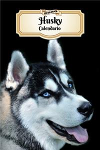 2020 Husky Calendario