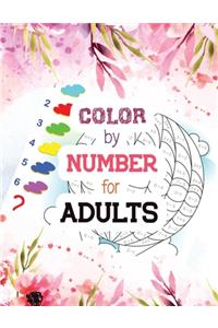 Color by Number for Adults