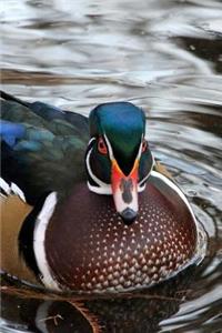 Waterfowl Notebook